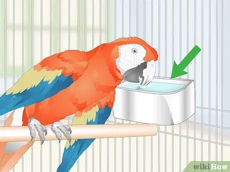 Image titled Set Up a Macaw Habitat Step 7