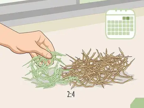 Image titled Change a Guinea Pig's Diet Step 10