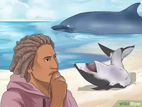 Image titled Care for a Beached Animal Step 10