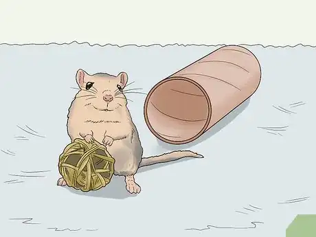 Image titled Make a Comfortable Gerbil Home Step 9