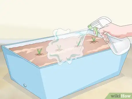 Image titled Grow Garlic Indoors in a Pot Step 11