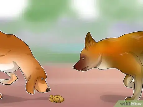 Image titled Diagnose Canine Coronavirus Step 4