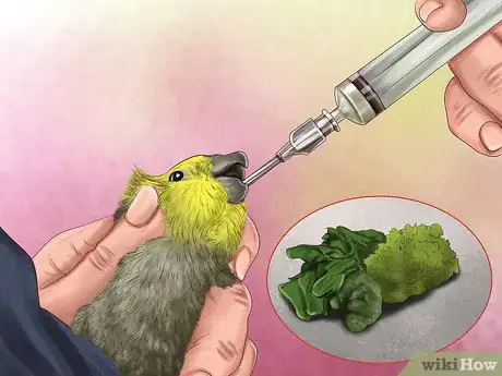 Image titled Treat Lovebird Pox Step 4