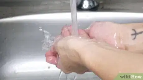 Image titled Make Aloe Vera Gel Step 1