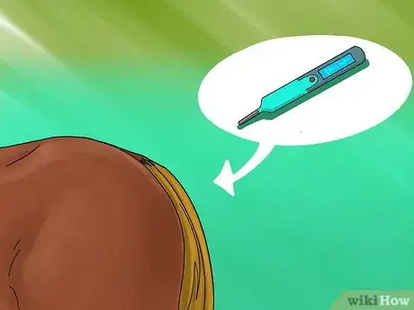 Image titled Take a Horse's Vital Signs Step 4
