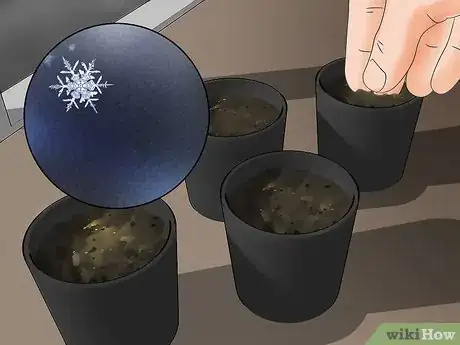 Image titled Buy Garden Seed Step 9