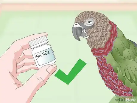 Image titled Treat Infections in Hawk Headed Parrots Step 15