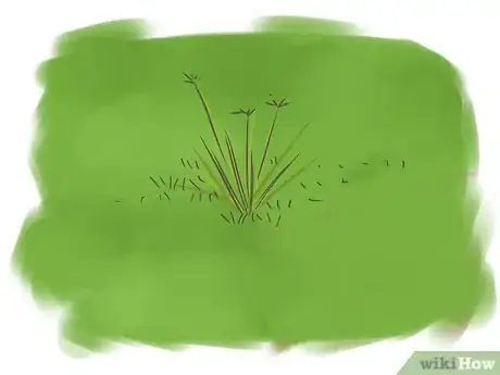 Image titled Lay Sod Step 20