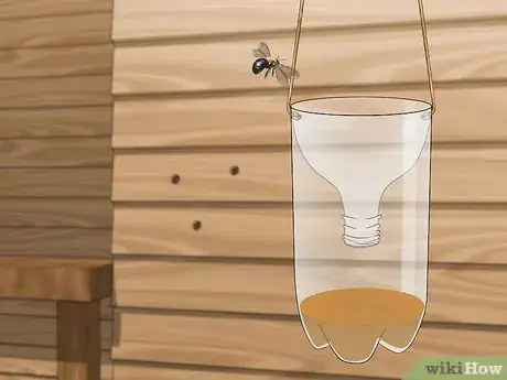 Image titled Get Rid of Wood Bees Naturally Step 9