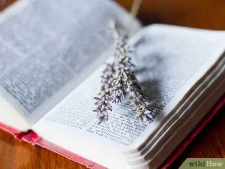 Image titled Transfer Your Problems to God Through Prayer Step 5