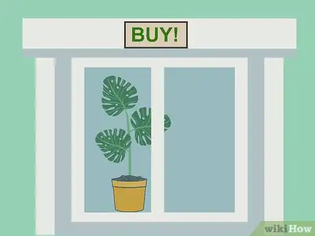 Image titled Grow Philodendron Step 4