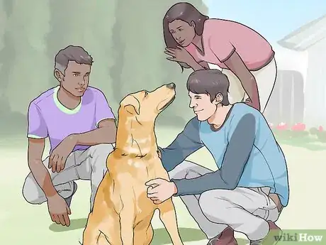 Image titled Introduce Your New Dog to the Neighbors Step 10