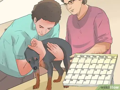 Image titled Care for Rottweilers Step 3
