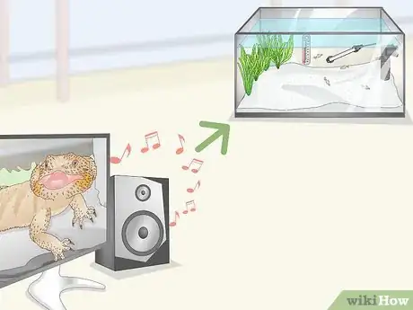 Image titled Prevent Fish From Getting Sick Step 7