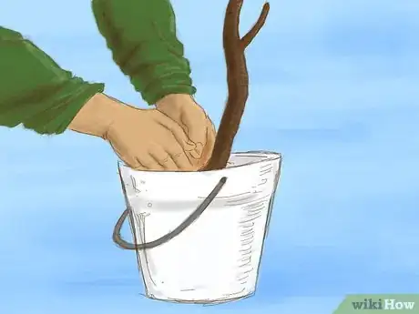 Image titled Plant a Bare Root Tree Step 2