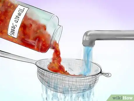 Image titled Plant Tomatoes from Seed Step 10