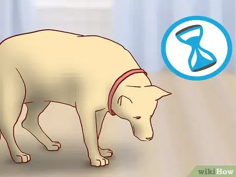 Image titled Educate Yourself As a New Dog Owner Step 9