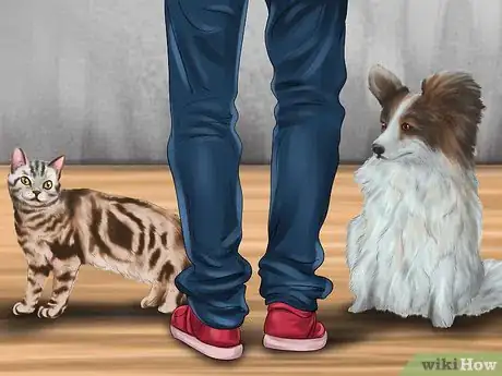 Image titled Introduce a New Puppy to the Resident Cat Step 12