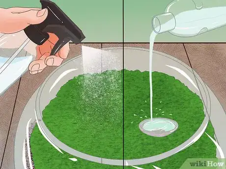 Image titled Make Moss Terrariums Step 17
