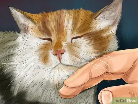 Image titled Provide High Resting Spaces for Your Cat Step 7