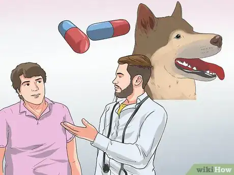 Image titled Go Boating With Your Dog Step 10