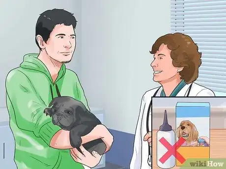 Image titled Dye Your Pet Step 2