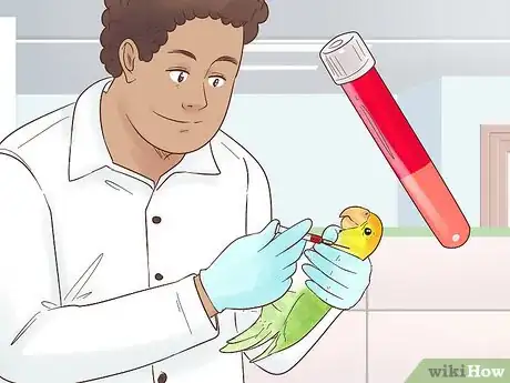 Image titled Treat Polyomavirus in Caique Parrots Step 6