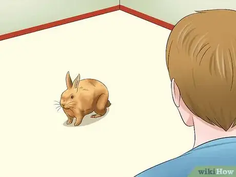 Image titled Care for Sussex Rabbits Step 1