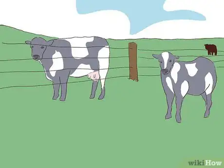 Image titled Wean Cattle Step 14