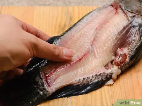 Image titled Make Fish Stock Step 3