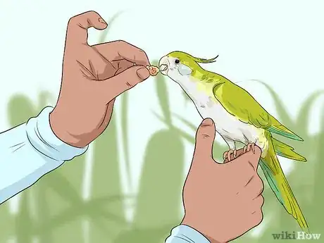 Image titled Make a Pet Love You Step 5