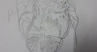 Draw the Indian Leaf Butterfly