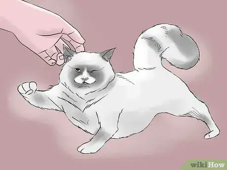 Image titled Treat Chronic Vomiting in Cats Step 1