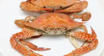 Cook a Crab