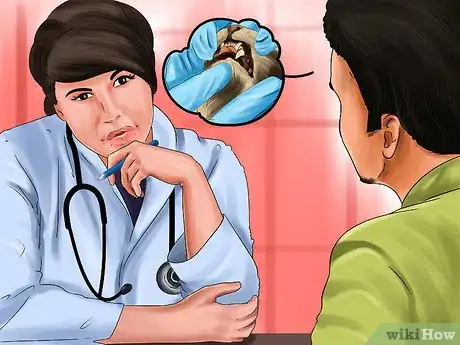 Image titled Get Your Cat's Teeth Professionally Cleaned Step 4