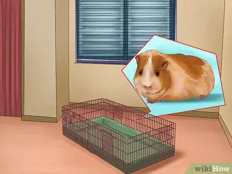 Image titled Adopt a Guinea Pig Step 3