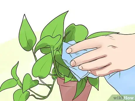 Image titled Rejuvenate an Overgrown Houseplant Step 3