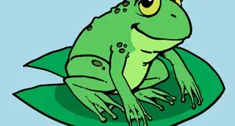 Draw a Cartoon Frog
