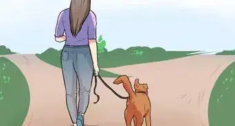 Get a Therapy Dog for Anxiety and Depression