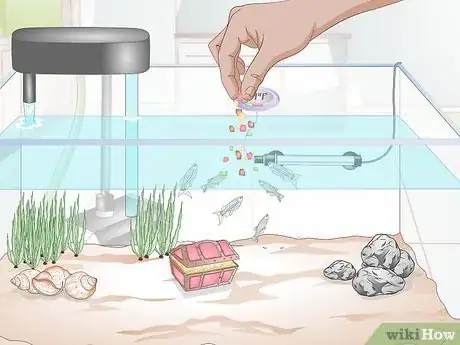 Image titled Set up a Community Fish Tank Step 9