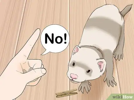 Image titled Stop a Ferret from Stealing Things Step 3