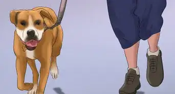 Walk Your Uncooperative Dog
