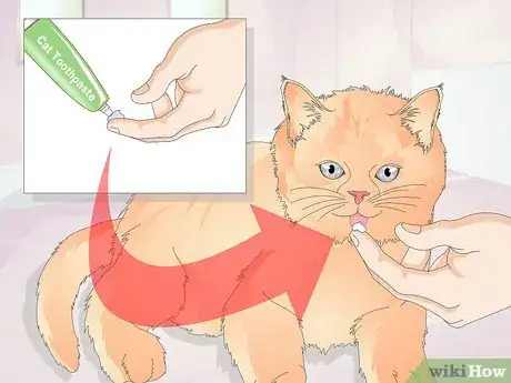 Image titled Keep a Cat Healthy Step 20