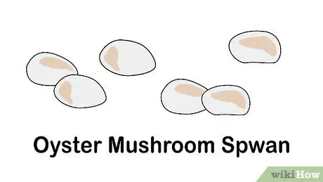 Image titled Grow Mushrooms Step 1