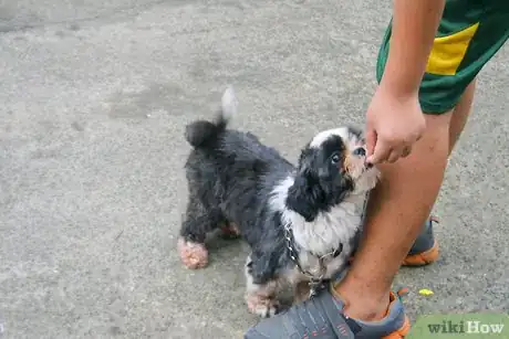 Image titled Housebreak Your Dog Using Crate Training Step 12