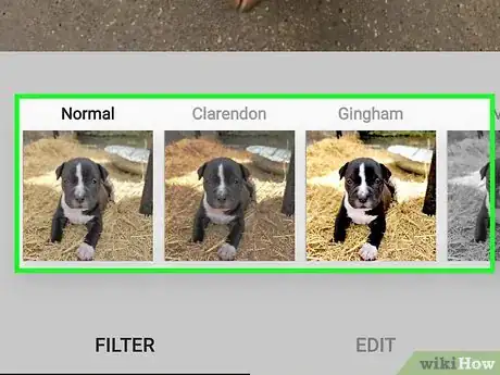 Image titled Get More Likes on Your Instagram Photos Step 5