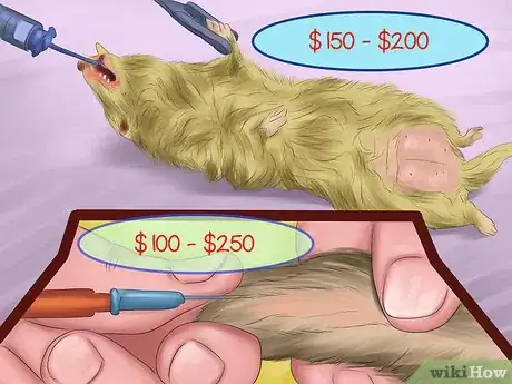 Image titled Buy a Ferret Step 5