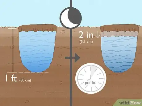 Image titled Make Marigolds Flower Step 2