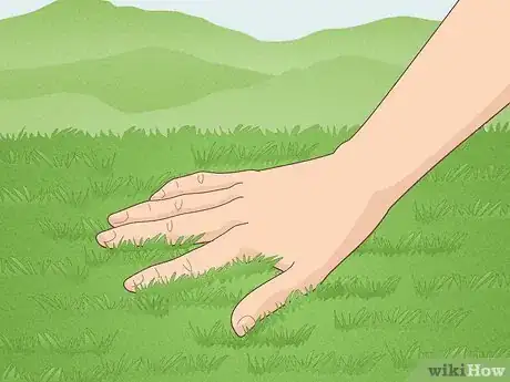 Image titled Make a Camp Tent More Comfortable Step 2