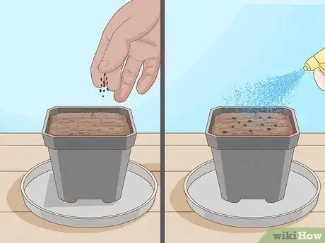 Image titled Raise Carnivorous Plants Step 11